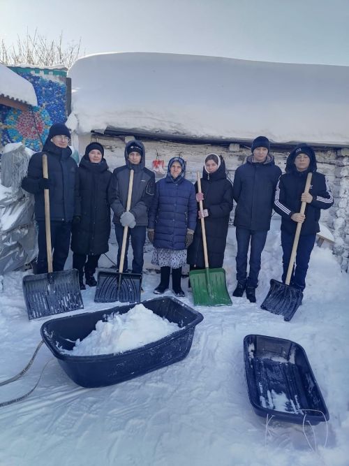 В селе Альшеево мать участника СВО не смогла сдержать слез, увидев очищенный от снега двор