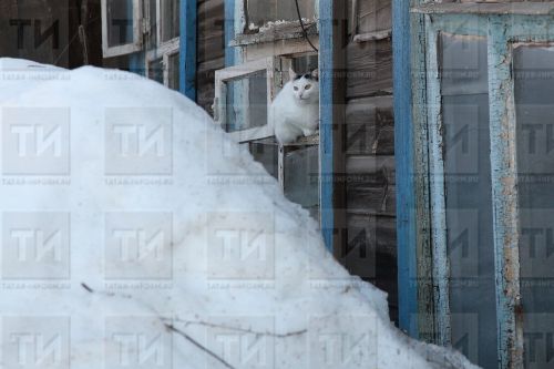 Прогноз погоды на неделю в республике