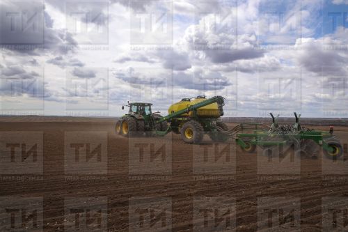 Весна: о чем нужно помнить при уходе за посевами после зимы с обильными снегопадами?