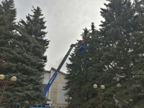 В Буинске производят омолаживающую обрезку деревьев. Сегодня для работников коммунального хозяйства мастер класс проводил заслуженный лесовод РФ Харис Мусин (фото, видео)