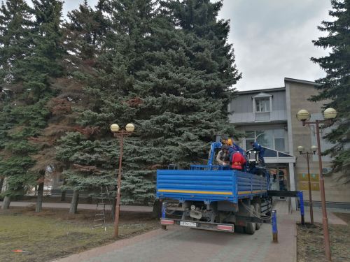В Буинске производят омолаживающую обрезку деревьев. Сегодня для работников коммунального хозяйства мастер класс проводил заслуженный лесовод РФ Харис Мусин (фото, видео)