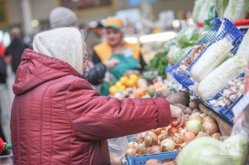 Избавляться от грызунов на полях – значит сохранить урожай
