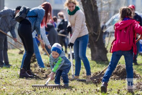 Что нужно успеть сделать в саду в последний месяц весны?