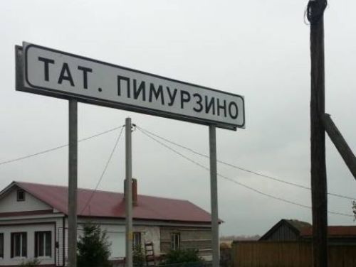 В деревне Татарское Пимурзино Буинского района произошло жестокое убийство