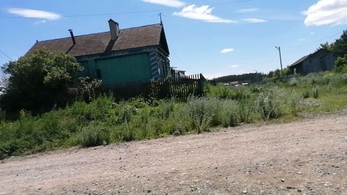 Буинском районе мужчина после укуса гадюки попал в больницу