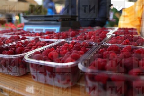 Важные подкормки для кустарников в августе