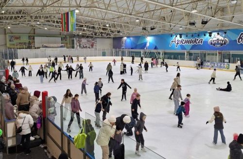 Буинцы провели активные каникулы в ледовом дворце «Арктика»