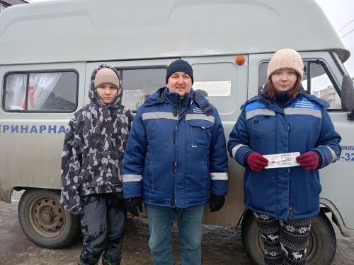 В Буинске начали чипирование собак