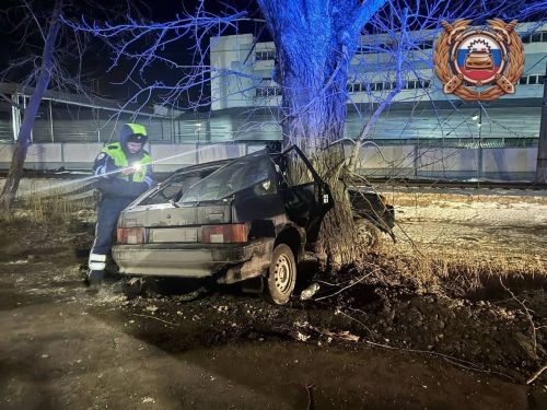 В Зеленодольске водитель легковушки погиб, врезавшись в дерево