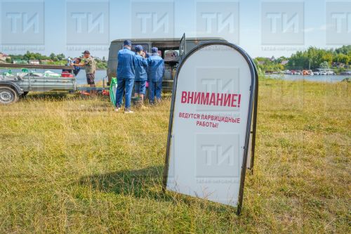 Врачи рассказали, что делать, если самостоятельно вытащил клеща после укуса