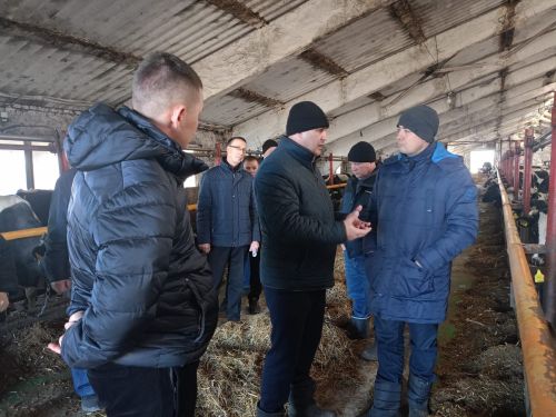 На ферму Буинского района доставили племенных телок