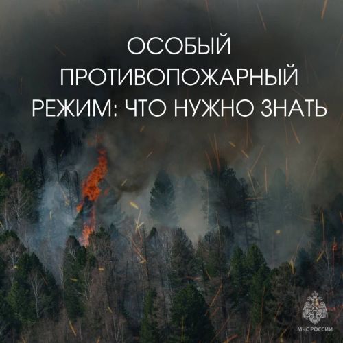 На территории Буинского района установлен особый противопожарный режим. Что нельзя делать
