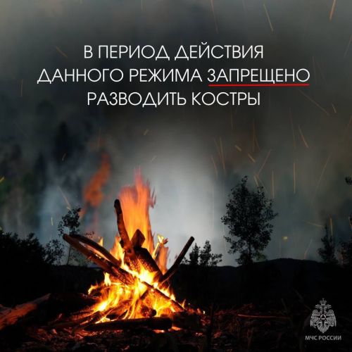 На территории Буинского района установлен особый противопожарный режим. Что нельзя делать