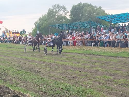 Стал известен абсолютный чемпион конных скачек в Буинском районе (+фото, видео)
