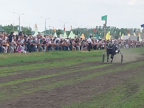 Стал известен абсолютный чемпион конных скачек в Буинском районе (+фото, видео)