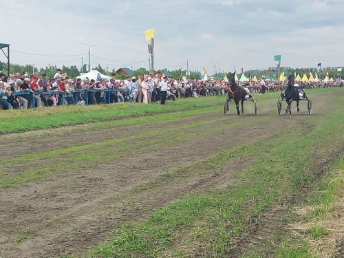 Стал известен абсолютный чемпион конных скачек в Буинском районе (+фото, видео)