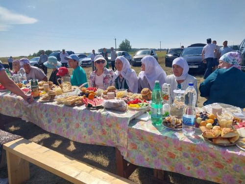 Сегодня в Буинском районе открылся еще один родник