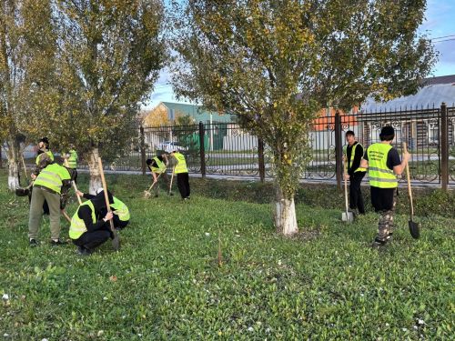 В Центральном парке учащиеся Буинского медресе высадили сосны