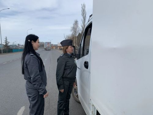 В Буинском районе во время рейда был остановлен автомобиль, перевозивший скот без документов