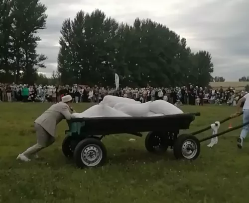 Әле дә бөтен дөньям авырта, ди ун капчык бодай төялгән ат арбасы тарткан Буа егете Юныс Мифтахетдинов