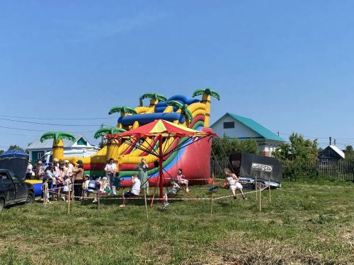 Сегодня в селе Вольнистан Буинского района земляки, договорившись, организовали праздник День села