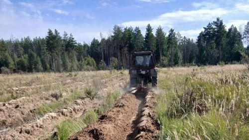 В Буинске заложили основу для новых лесов