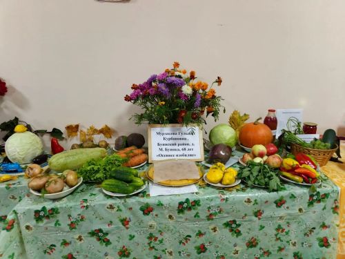 Среди ветеранов Буинска  организовали конкурс-выставку «Дары осени»