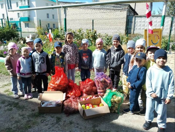 В Буинске дошкольники вырастили овощи для бойцов спецоперации