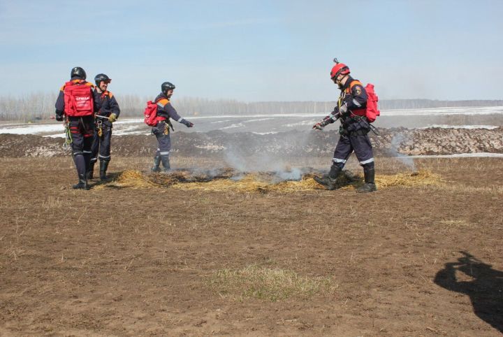 Из-за высокой пожароопасности лесов в Татарстане вновь объявили штормовое предупреждение