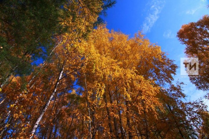 Метеорологлар Татарстанда яшәүчеләргә җылы һәм коры сентябрь вәгъдә итте