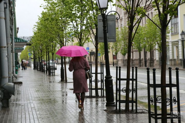 Синоптики прогнозируют в Татарстане небольшой дождь и сильный ветер