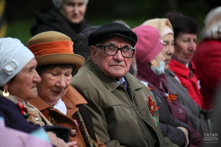 Правительство РТ распорядилось организовать День пожилых в Татарстане