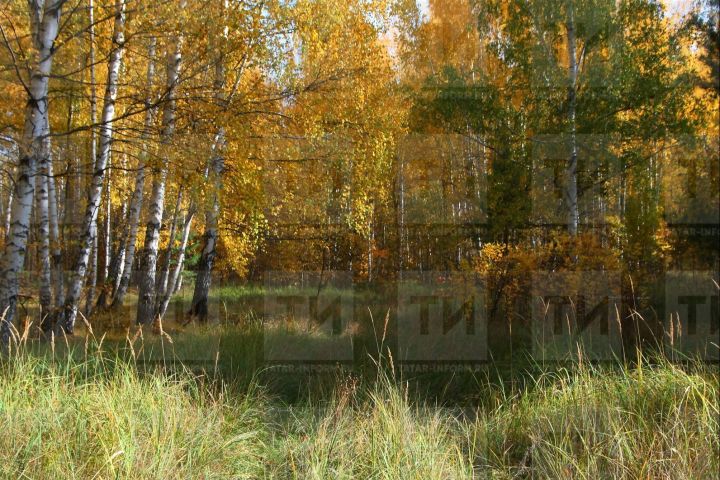 Киләсе атна башында Татарстанда аномаль җылы һава торышы саклана