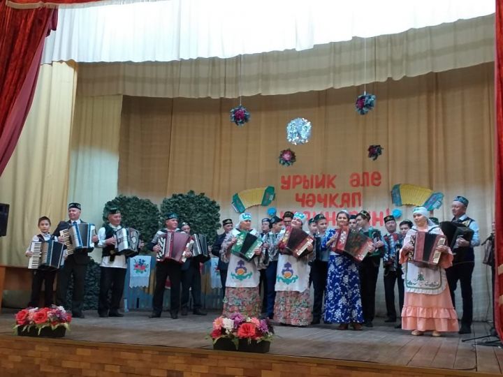 В деревне Новые Чечкабы Буинского района состоялся праздник гармонистов (фоторепортаж)
