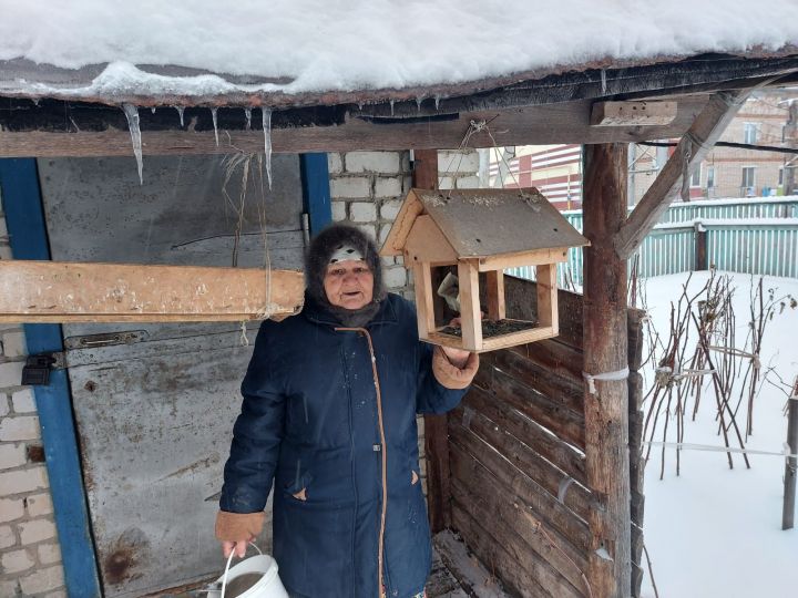 Альфия Анварова из Буинска тратит половину пенсии на кормление птиц (+фото)