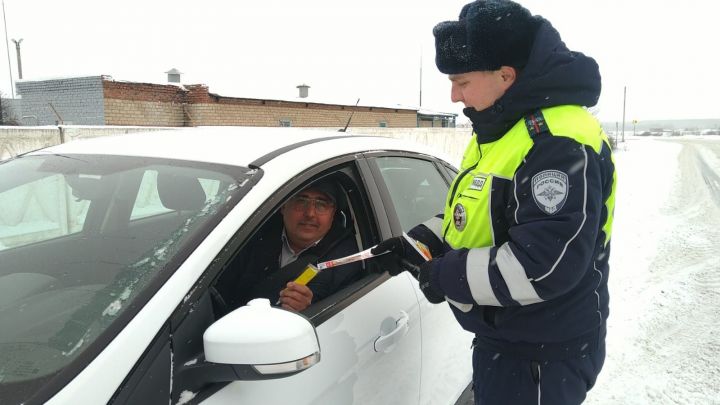 Инспекторы Буинского отделения ГИБДД поздравляли автомобилистов и пешеходов с Новым годом (+фото)