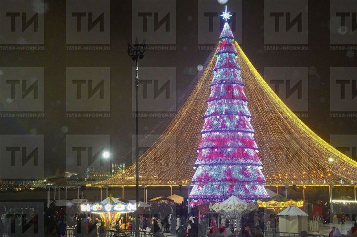 Правительство не поддержало законопроект о выходном 31 декабря