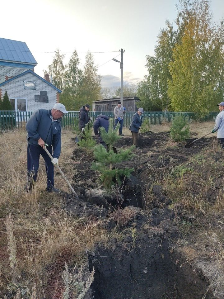 Буинцы принимают активное участие в высадке деревьев