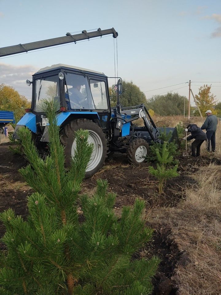 Буинцы принимают активное участие в высадке деревьев