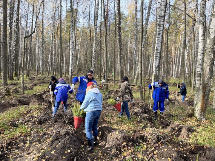 Работники АО «Транснефть – Прикамье» приняли участие воВсероссийской экологической акции