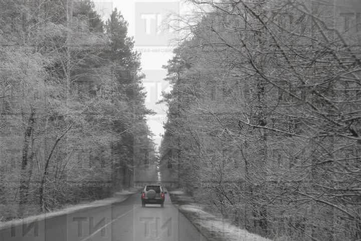 Дождь с мокрым снегом, гололед, туман и сильный ветер ожидаются в Татарстане