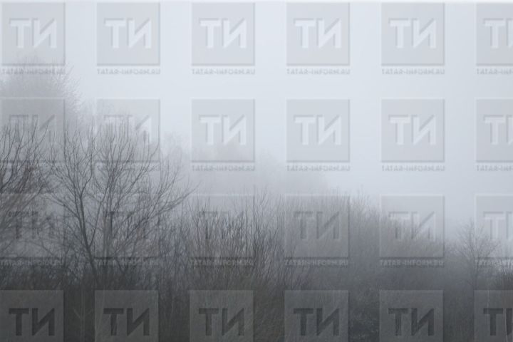 Ноябрь в Татарстане начнется с тумана и аномального тепла