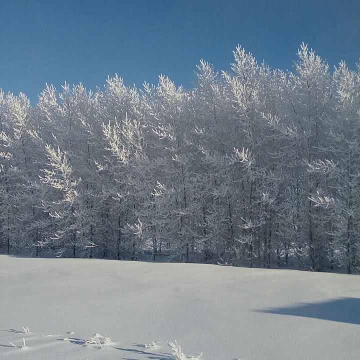 Днем в Татарстане сохранится до 25 градусов мороза