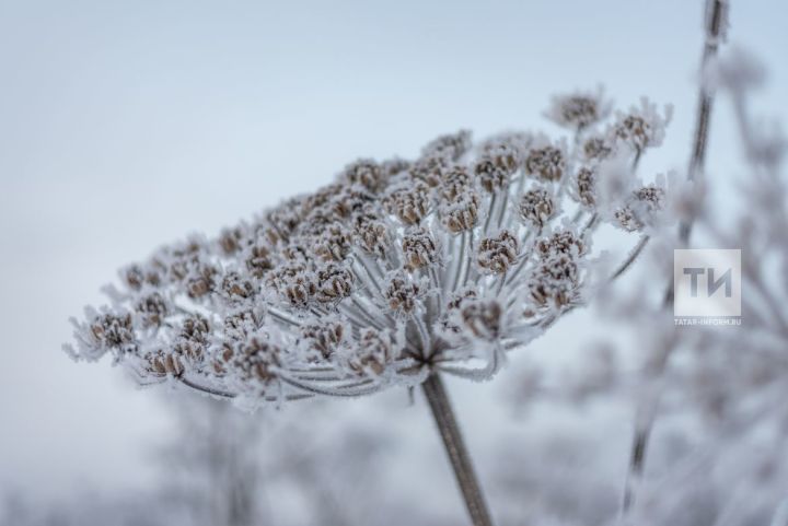 Татарстанда кар, бозлавык һәм 1 градуска кадәр җылы булачак