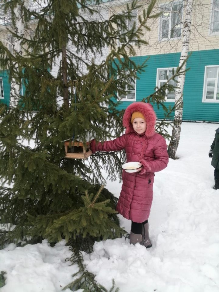 Специалисты Государственного природного заказника «Зея буйлары» были приглашены на экологическое мероприятие по установке кормушек в МБОУ»Протоповская СОШ»