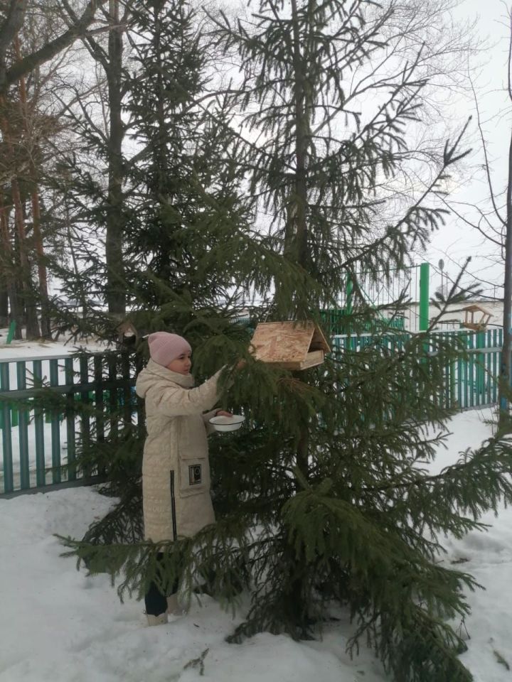 Специалисты Государственного природного заказника «Зея буйлары» были приглашены на экологическое мероприятие по установке кормушек в МБОУ»Протоповская СОШ»