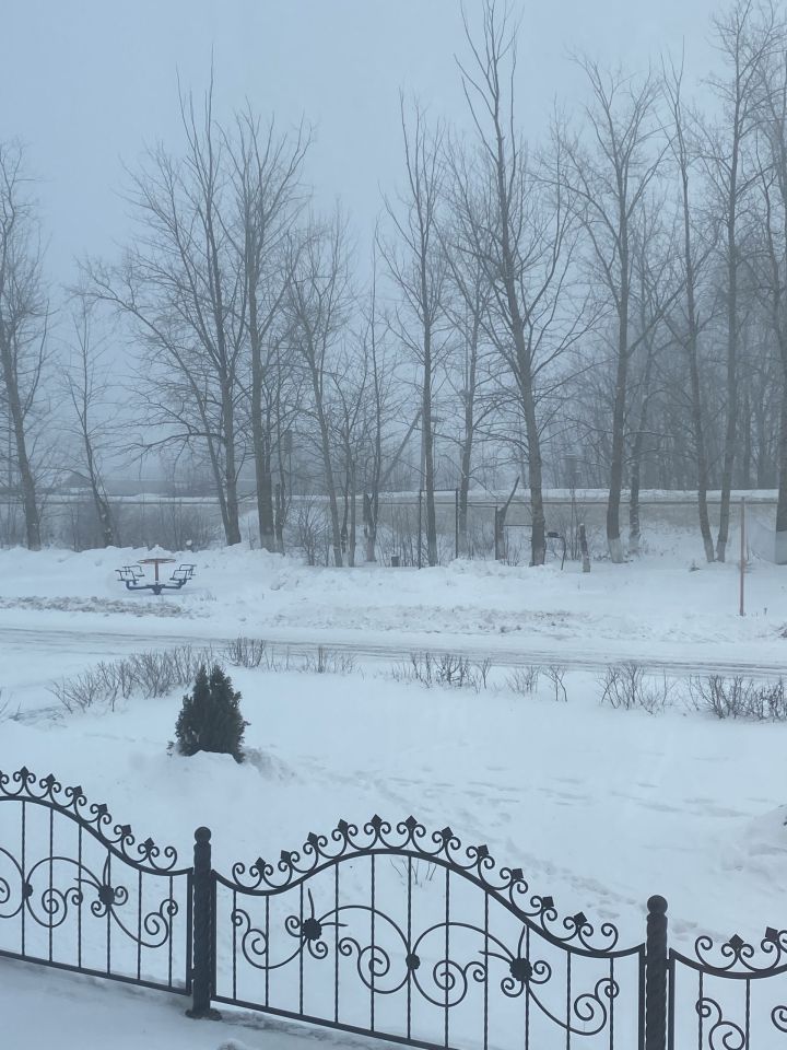 Неделя в Татарстане завершится туманом, снегом и 15-градусным морозом