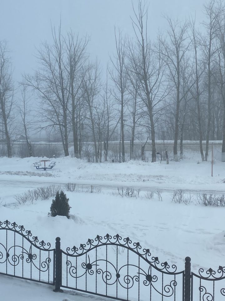 Татарстанда бу атна томан, кар һәм -15 градус салкын белән тәмамланачак
