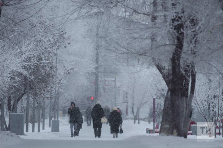 В последний день года в Татарстане ожидаются снегопады, сильный ветер и до +2 градусов