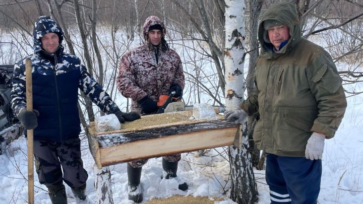 Чем сотрудники охотничьих хозяйств подкармливают лосей, косуль и зайцев?